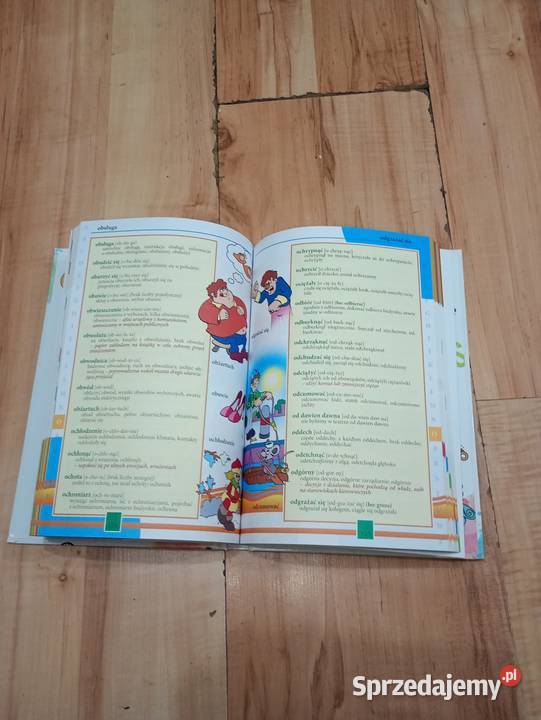 Ilustrowany Słownik Ortograficzny Wydawnictwo Szczecin