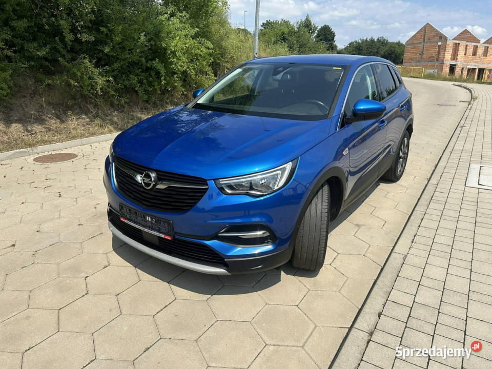Opel Grandland X Opel Grandland X Navi światła do jazdy dziennej Gostyń