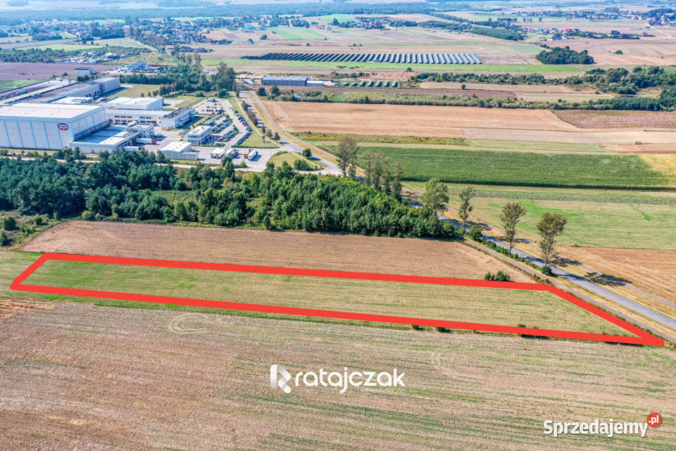 sprzedaży gruntu 9632m2 Łebcz Dr Augusta