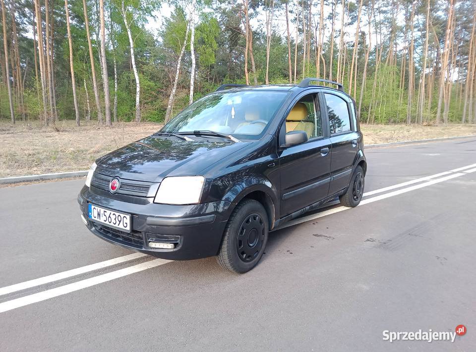 Fiat Panda Włocławek
