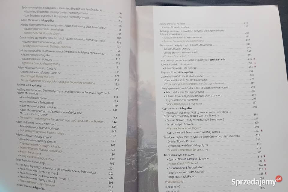 Język polski 2 Sztuka wyrazu Cz 1 Romantyzm wielkopolskie Koźminek