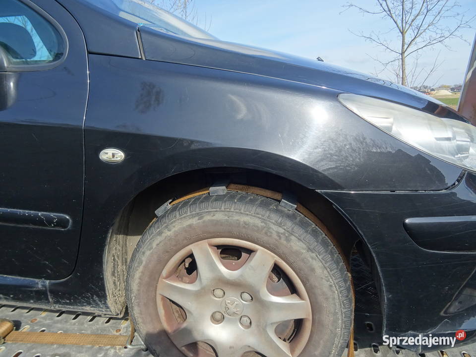 Peugeot 307 16hdi błotniki przednie błotnik łódzkie Wieluń
