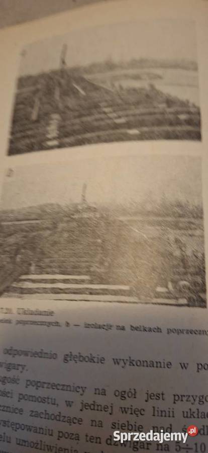 Cieśla Mostowy 1 wydanie niski nakład 2700300 sprzedam