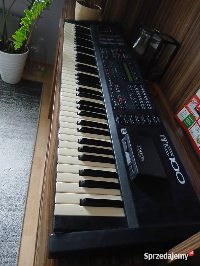Solton ms 100 Częstochowa