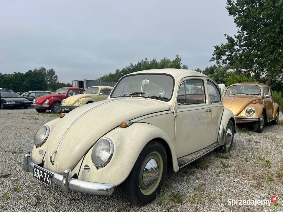 VW Garbus 1300 z 1967 Garbus Wrocław