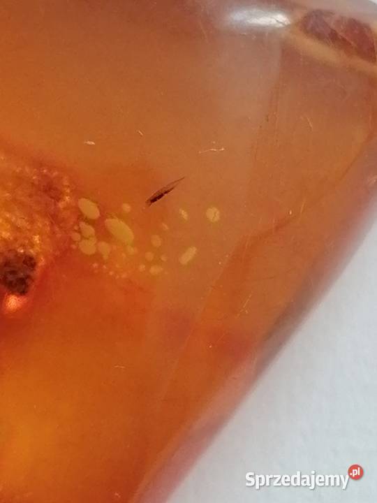 Bursztyn inkluzja Białystok