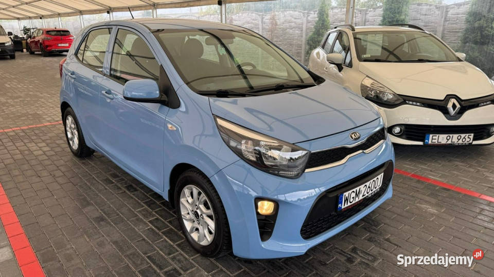 Kia Picanto Kia Picanto Automat III 2017 niebieski Picanto Zduńska Wola