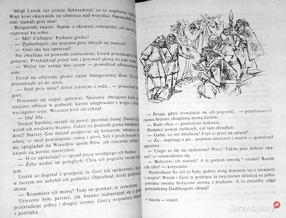 Lestek Saturnina Leokadia Wadecka Książki i Podręczniki Chełm