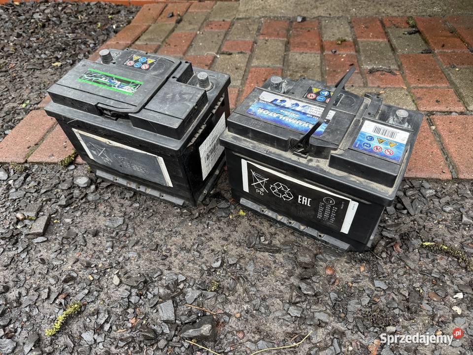 Akumulator Bateria 12v 60Ah 540A Szprotawa