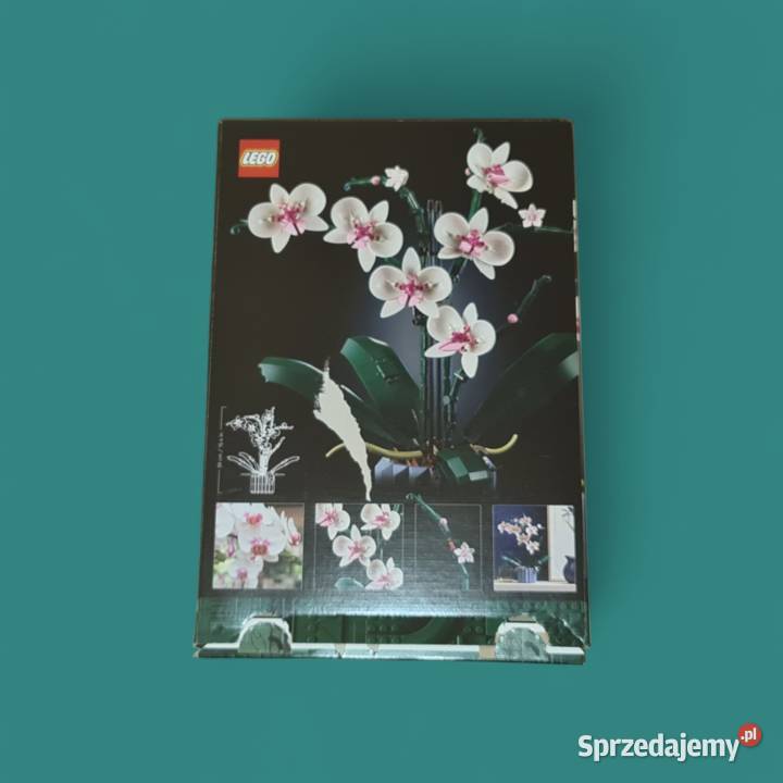 Lego Pudełko i Instrukcja 10311 Botanical Dla Dziecka
