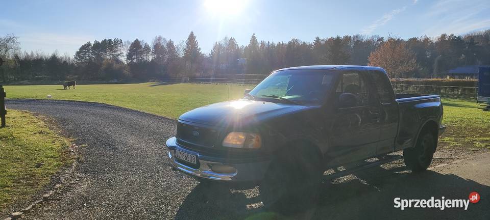 Ford F 150 1999r nieuszkodzony Łabunie