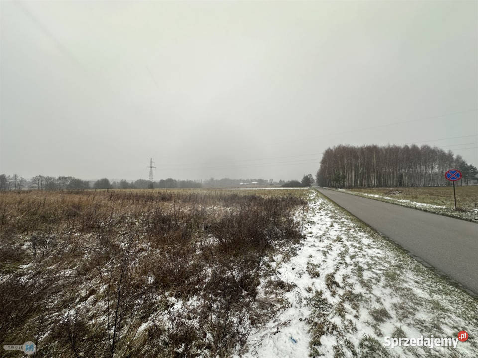 sprzedaży działki 43100m2 Śladków Duży