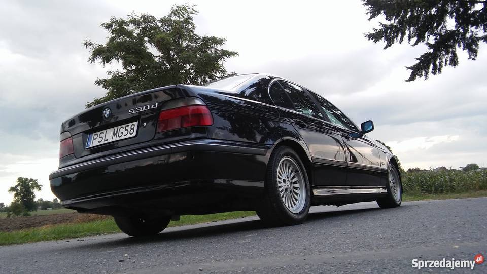 BMW 5 E39 30D 184 MANUAL Słupca