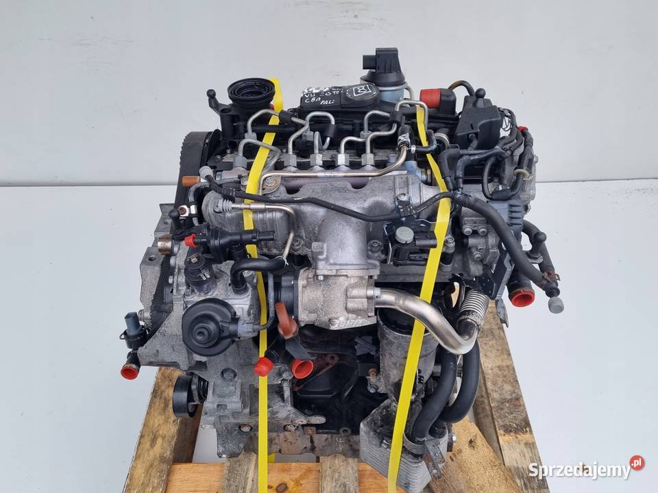 SILNIK KOMPLET Audi A3 II 8P 20 TDI 140 166 CBA osobowe Janów