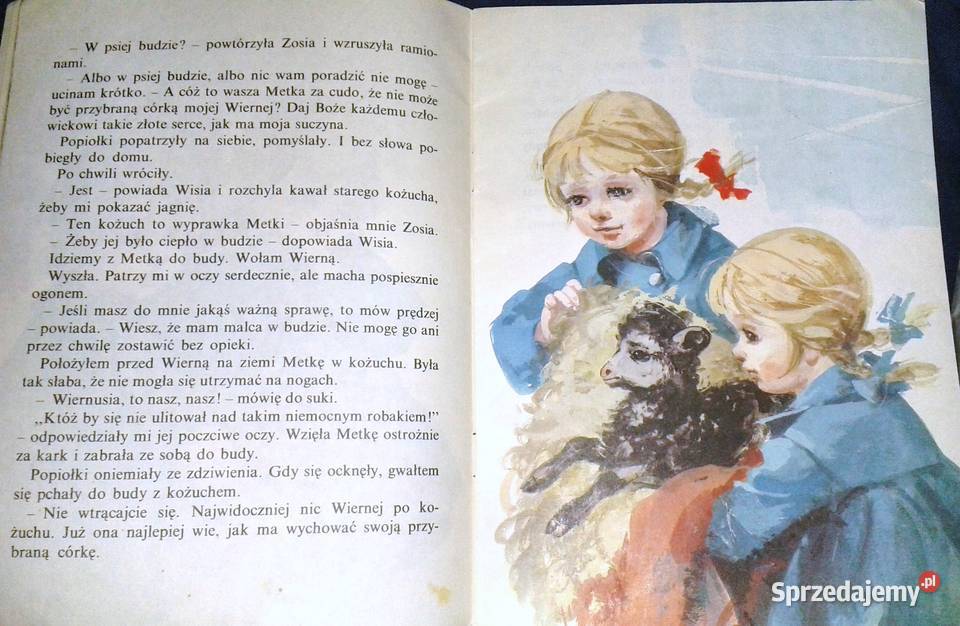 Czarna owieczka Jan Grabowski Chełm