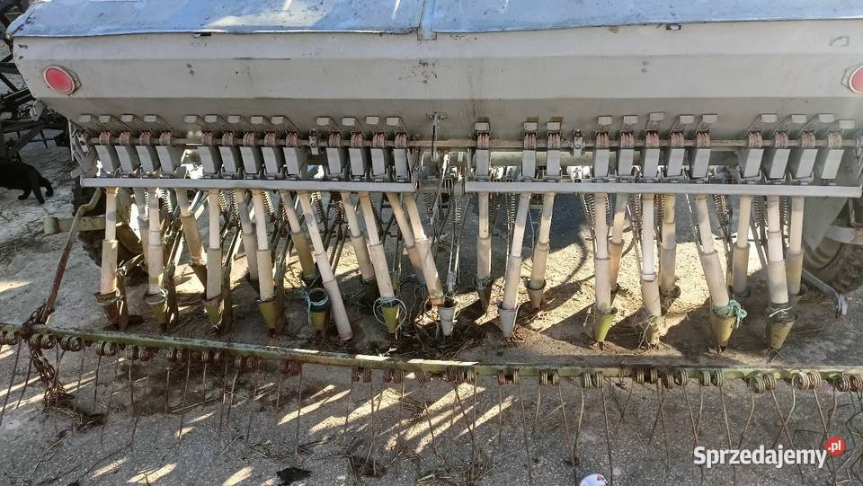 Siewnik zbożowy poznaniak na docisku Bodzentyn sprzedam