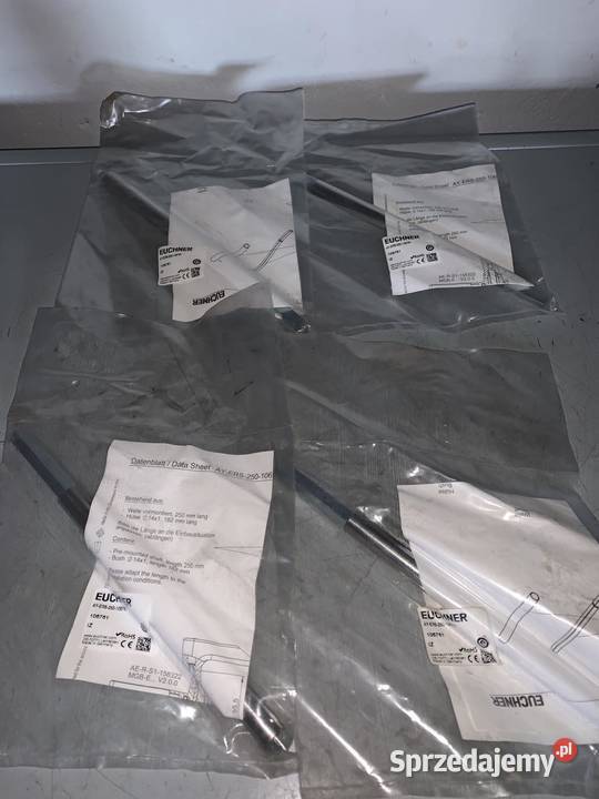 Euchner AYERS250106761 Switch part Warszawa