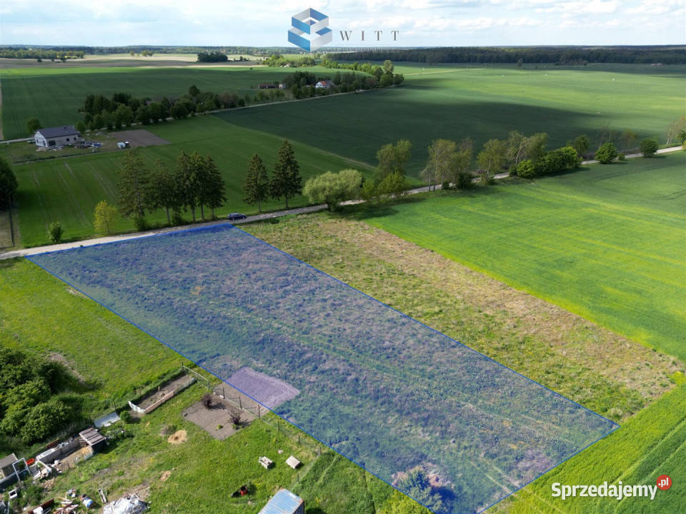 sprzedaży gruntu 2962m2 Piotrkowo Sprzedaż