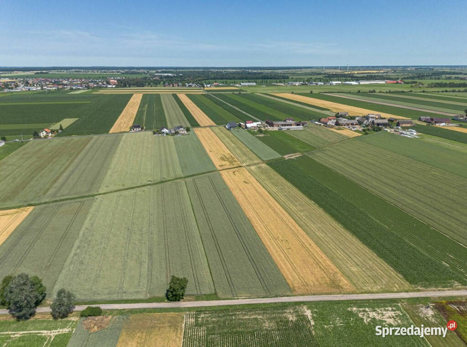 Grunty Rolne 580 Ha Magdalenki Wlkp Klasa III