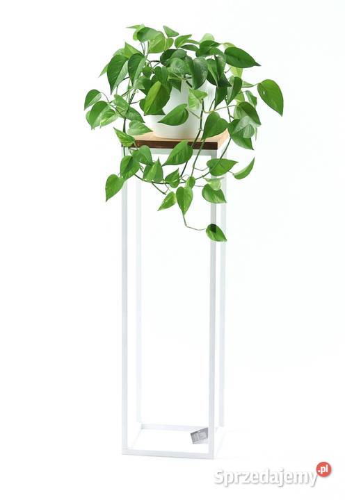 Kwietnik Metalowy Stojący Stojak na kwiaty 80 czarny Sobienie-Jeziory sprzedam