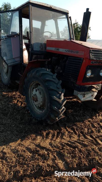 Sprzedam ursusa 385 wielkopolskie Szczytniki
