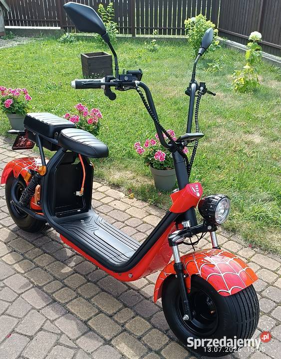 Skuter elektryczny zarejestrowany