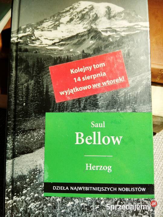 Below Herzog Bródno Warszawa