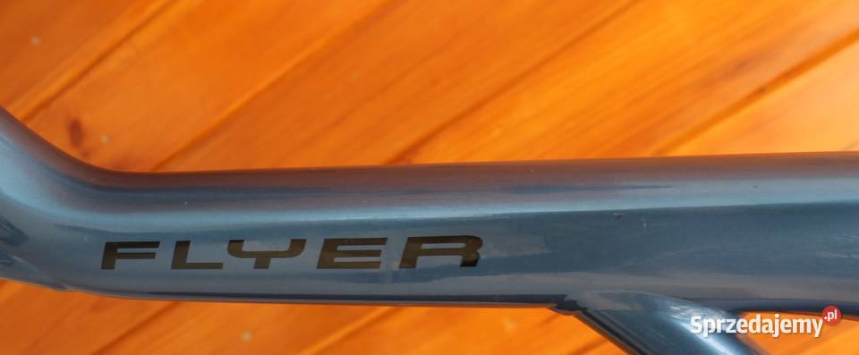 Rower elektryczny Flyer Flogo D 45 I inne rowery Milanówek