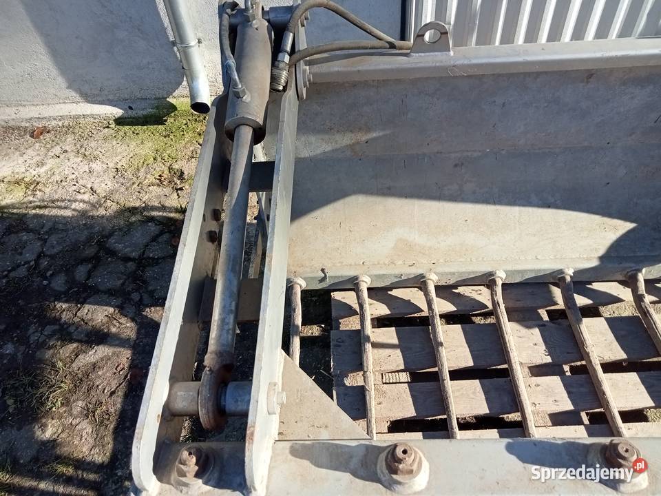 krokodyl do tura Trąbczyn Dworski