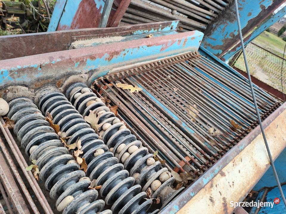 Kombajn ziemniaczany Anna Z644 nieuszkodzony Opatówek