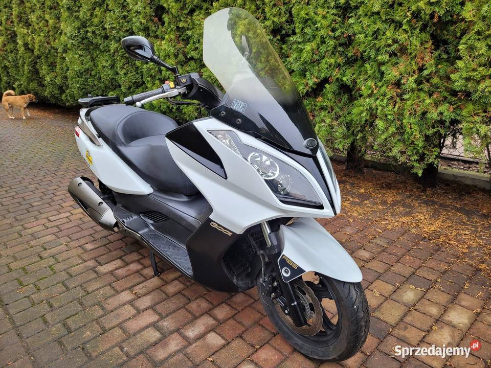 KYMCO DOWNTOWN 300i ABS 12 r italmotopila bezwypadkowy wielkopolskie
