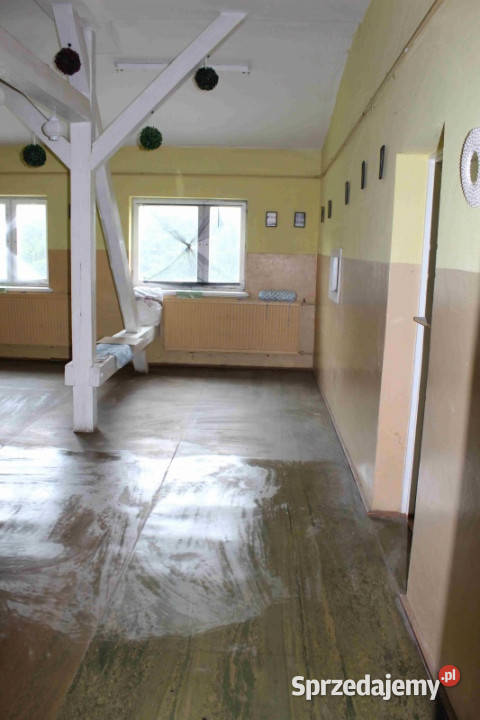 Do wynajęcia na mieszkanie agroturystykę możliwy sprzedam