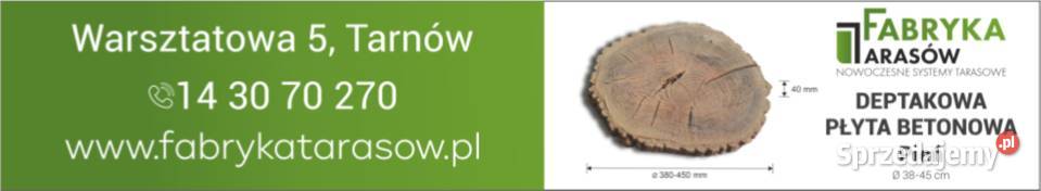 Pień betonowy betonowe drewno ogrodowe 3845 małopolskie