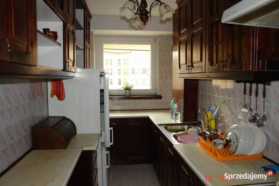 11025 koło Arkadii Śródmieście Inflancka Dzika Warszawa