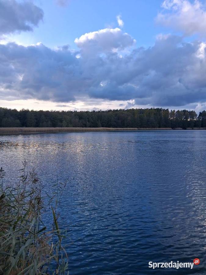 Dzialka budowlana wielkopolskie