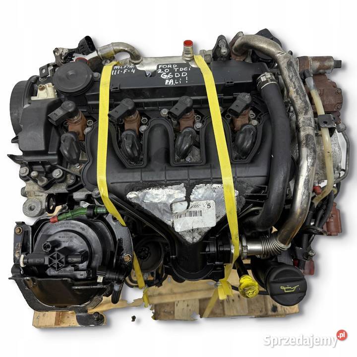 SILNIK G6DD Ford Focus II MK2 C C 20 TDCI 136 osobowe Chełm sprzedam