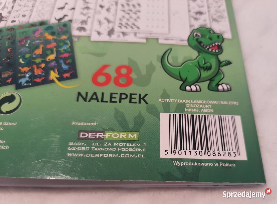 Activity Book ćwiczeń zadań łamigłówki dinozaury Książki dla dzieci Czeladź