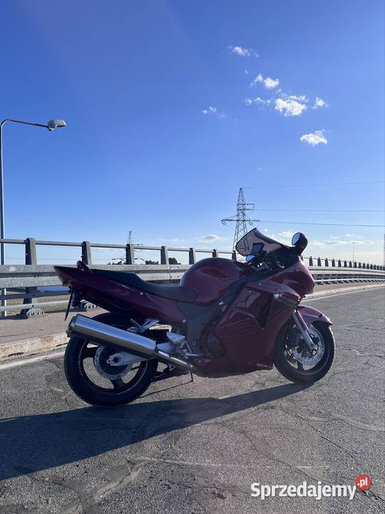 Honda cbr 1100 xx blackbird Honda