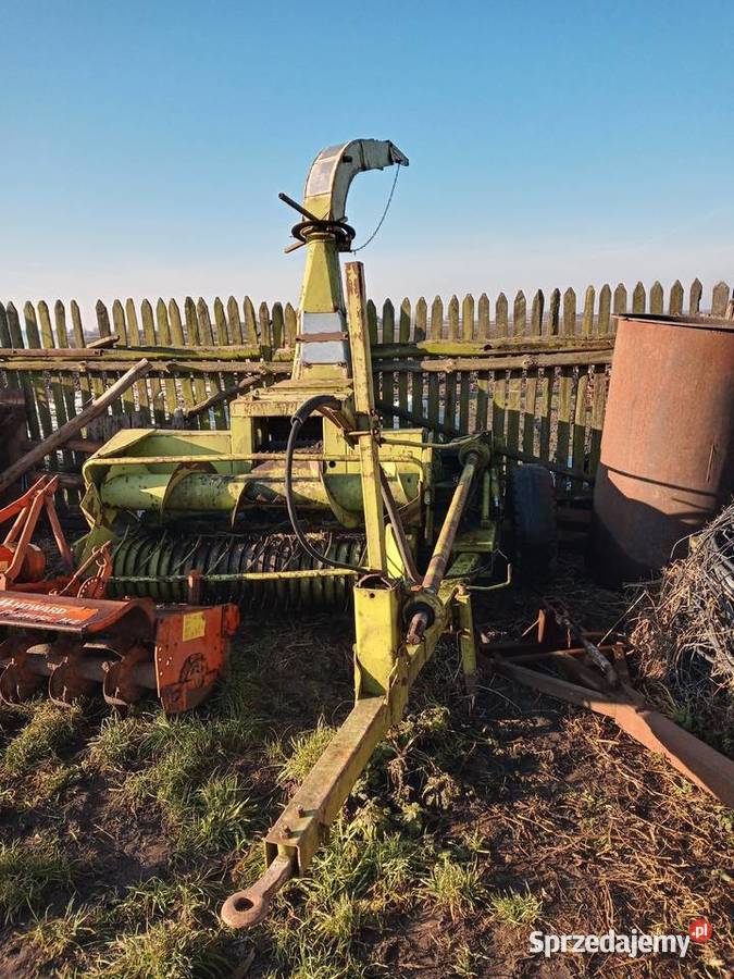 Sieczkarnia Claas jaguar wielkopolskie Janków