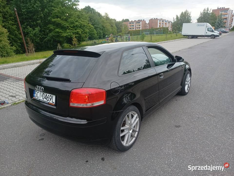 Audi A3 8P 19 TDI DPF Pogwizdów