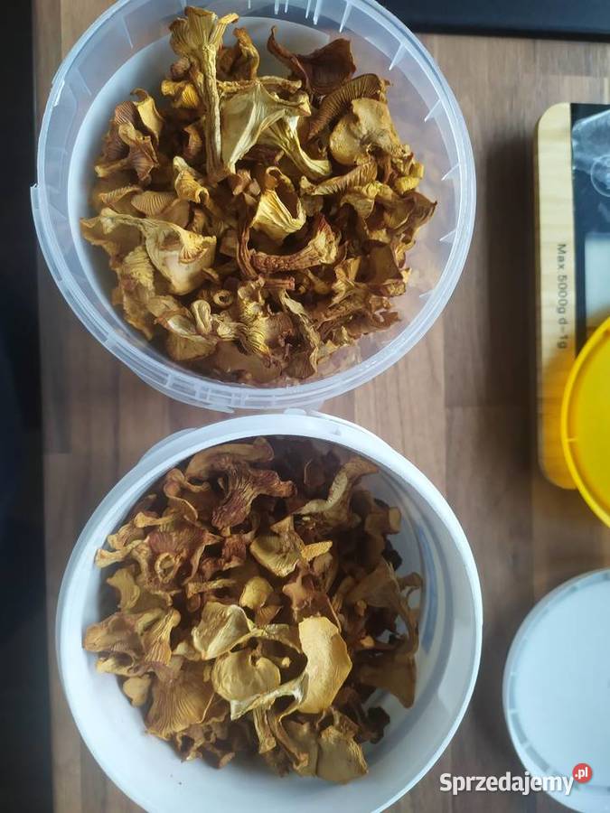 Suszone grzyby kurki pieprznik jadalny 300g Dębno