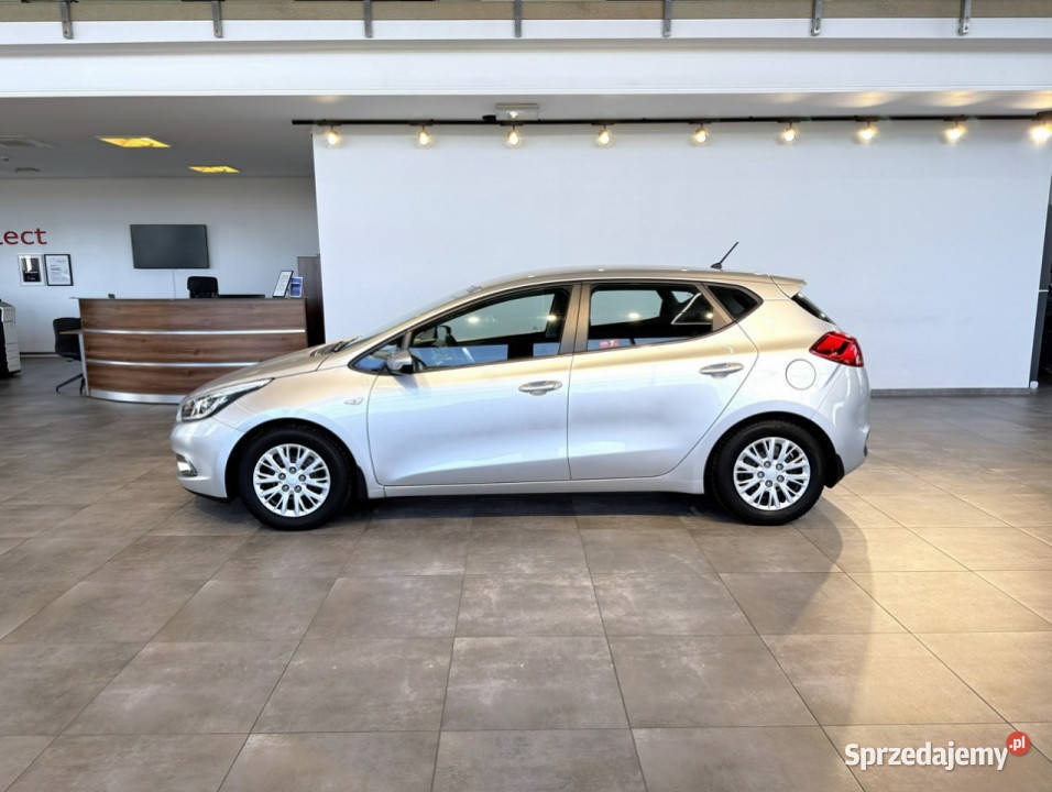 Kia Ceed 16GDI 135 M6 20142015 r salon fa VAT Myślenice sprzedam