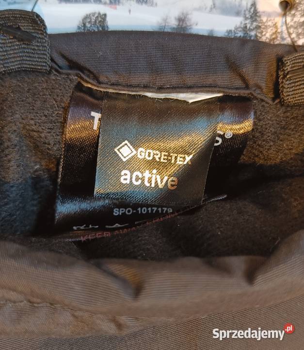 Trekmates Chamonix Gts Mitt Rękawiczki Pozostałe Brwinów