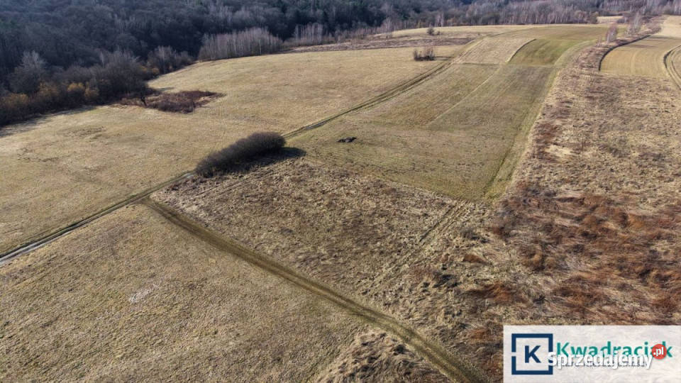 Grunt 900m2 Nowy Glinik podkarpackie