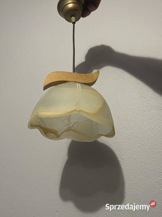 Lampa wisząca z drewnem elementem drewna Jasło