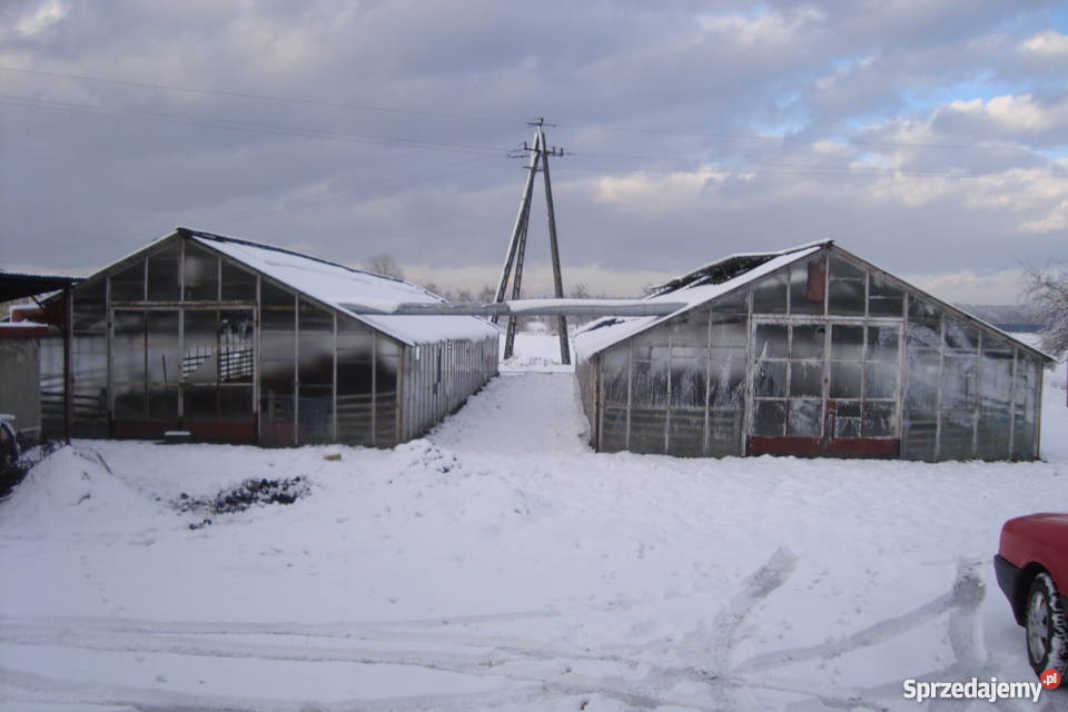 Szklarnie do rozbiórki 330 m2 Bochnia sprzedam