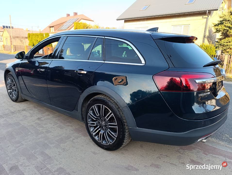 Opel Insignia Cross Country 20 benzyna 250 2017 Lgota-Mokrzesz