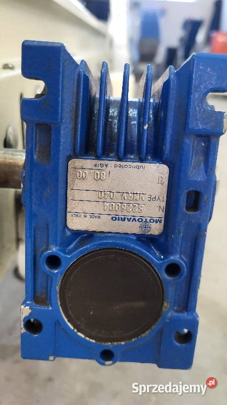 Taśmociąg prosty przenośnik taśmowy 400 x 100 Białogard