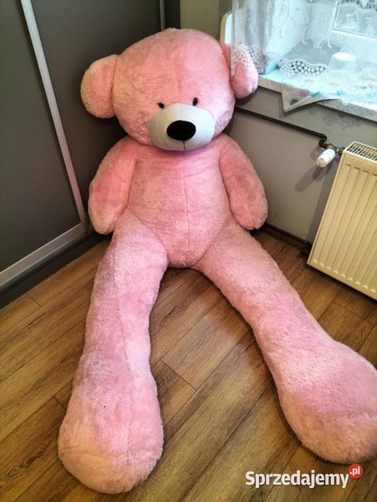 Sprzedam misia XXL 2m Koźminek