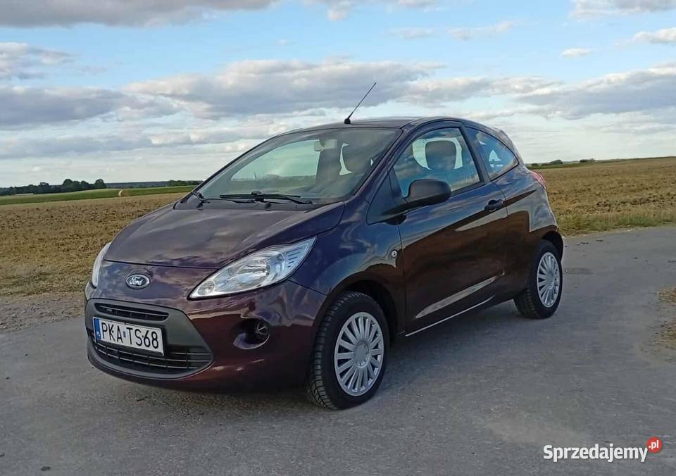 Ford KA 12 benzyna Chełm